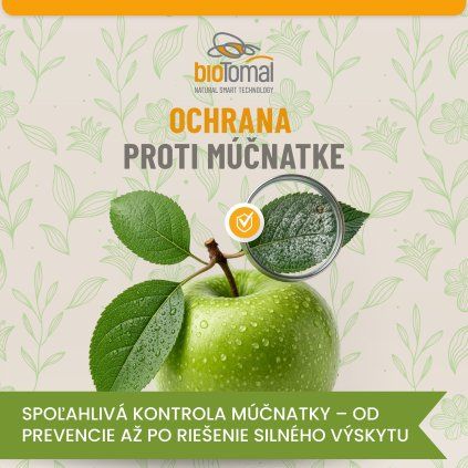 Ochrana proti múčnatke