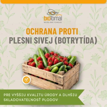 ochrana proti plesni sivej