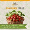 balicky Maxi úroda jahôd 1200x1200