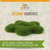 Zelený koberec XL