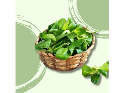 28284 polnicek bio vanicka 125g