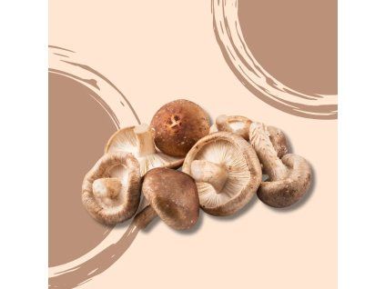 30153 shiitake bio vanicka 150 g