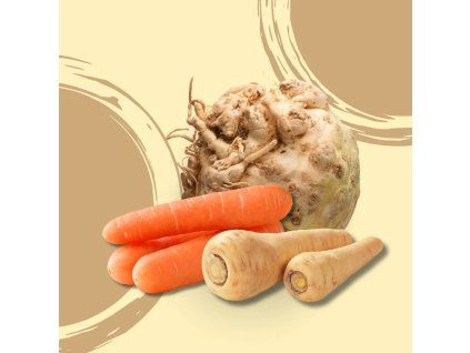 30699 zelenina do polevky bio vanicka 400g