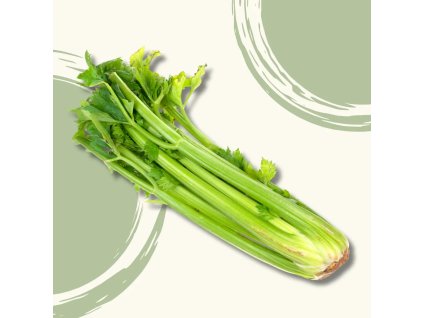 Celer řapíkatý BIO 1 ks  BIO VEGAN
