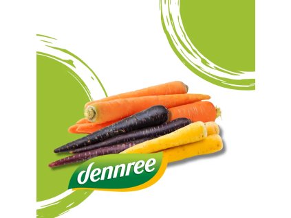 Dennree Mrkev barevná BIO mix druhů 1 kg sáček