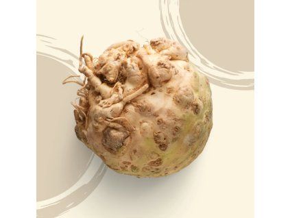 35031 celer bulva bio 1 kg