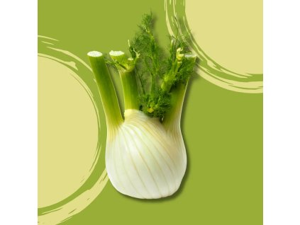 Fenykl BIO 1 kg  BIO VEGAN