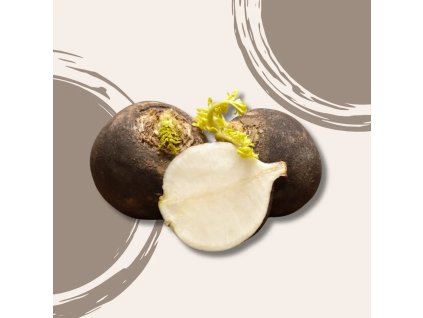 Ředkev černá BIO 1 kg  BIO VEGAN