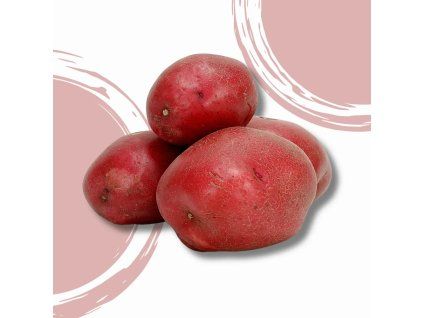 35520 brambory cervene bio 1 kg