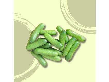 Okurka mini BIO 1kg  BIO VEGAN