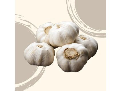 35859 cesnek bio 1 kg