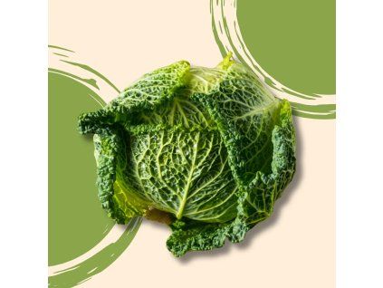 37533 kapusta hlavkova bio 1kg