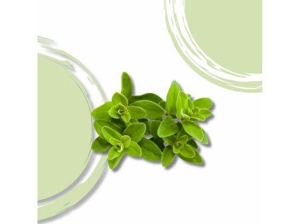 37554 majoranka nat bio vanicka 30g
