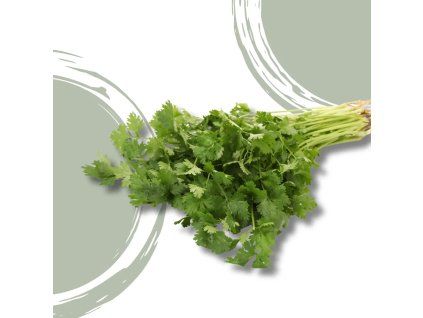 37557 koriandr bio vanicka 30g