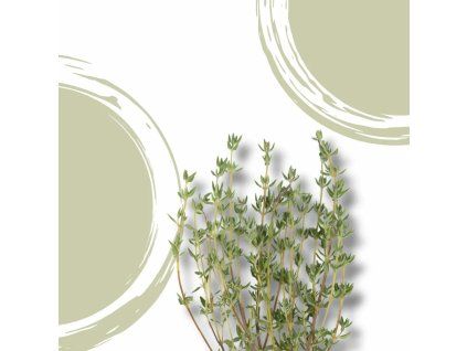 37560 tymian nat bio vanicka 30g
