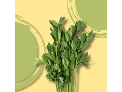 Libeček BIO v květináči 1ks  BIO VEGAN