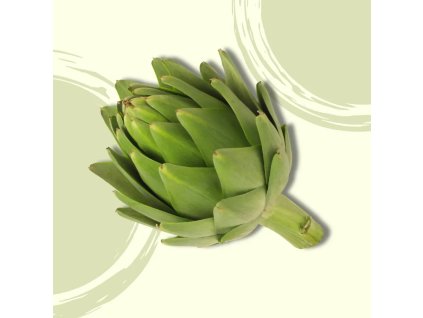 Artyčok 1ks  BIO VEGAN