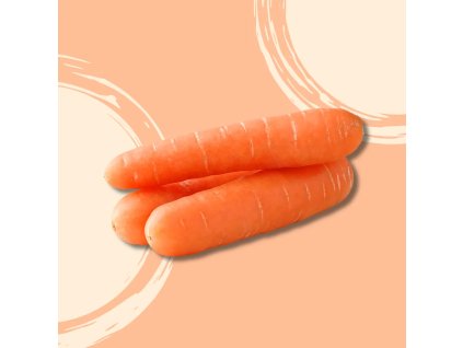 Mrkev BIO 1kg  BIO VEGAN