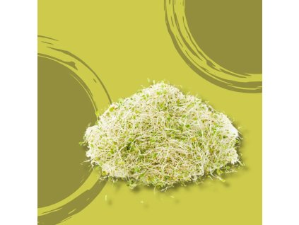 Naklíčená Alfalfa BIO vanička 100g  BIO VEGAN