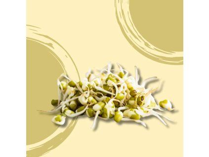 38367 naklicene mungo bio vanicka 180g