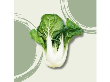 42084 pak choi cca 300g