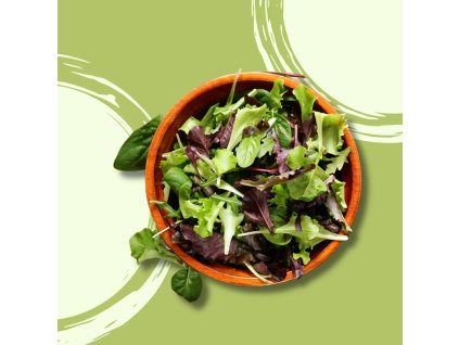 Mix salátů polníček, rucola, čekanka Ridicchio BIO vanička 125g