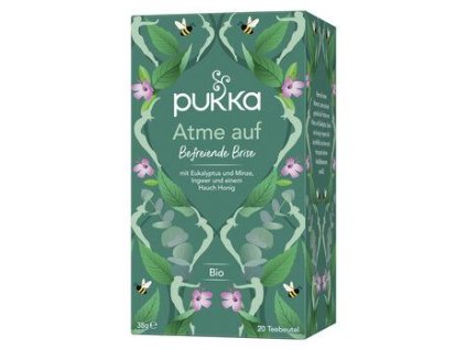 Pukka Bylinný čaj vydechnout úlevou 38g bio  BIO VEGAN