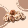 30153 shiitake bio vanicka 150 g