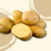 Brambory žluté rané BIO 1 kg  BIO VEGAN