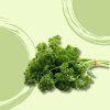 37545 petrzelka kudrnka nat bio vanicka 30g