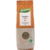 Dennree Kmín celý 60g bio  BIO VEGAN