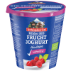 BGL Jogurt malina bez laktózy 150g bio  BIO VEGETARIAN bez laktózy