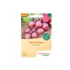 Bingenheimer Demeter semínka Červená řepa Robuschka 4 g bio  BIO VEGAN DEMETER