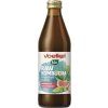 Voelkel RAW Kombucha grapefruit a chmel 330 ml bio  BIO VEGAN