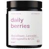 Kruut Bobulový prášek Daily berries 75 g bio  BIO VEGAN
