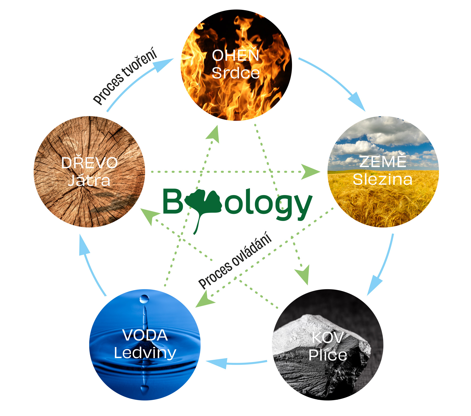 FYTOTERAPIE dle principů TČM = Biotter BYOLOGY