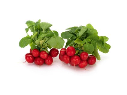 260059 Reďkovky Demeter DE 210604