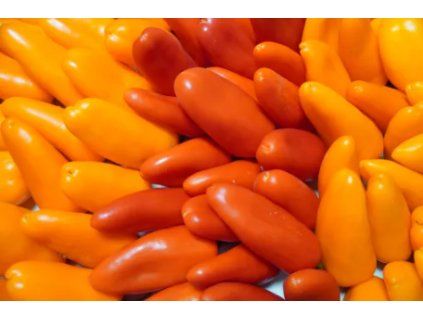 Mini paprika cca 250g  BIO