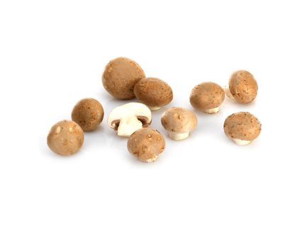 98007 Sampinoby bio potraviny