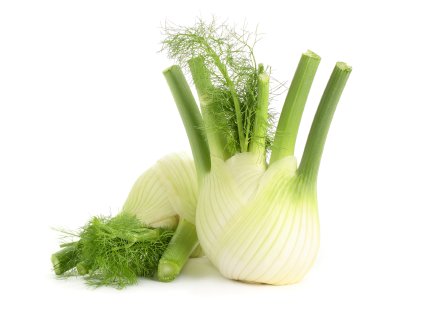 fenikel čerstvý demeter