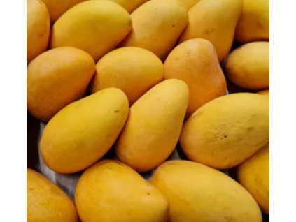 mango žlté bio