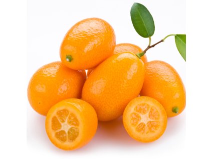 KUMQUAT DEMETER BIOVECI