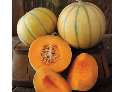 melon charentais