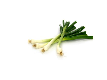 203298 mlada cibulka bio potraviny