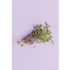 FIALOVÝ KALERÁB Semienka na nakličovanie Bio 50g SPROUT ME BIOVECI1