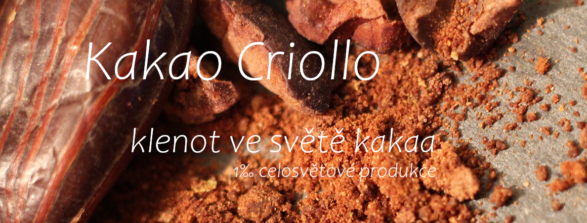 Kakao Criollo