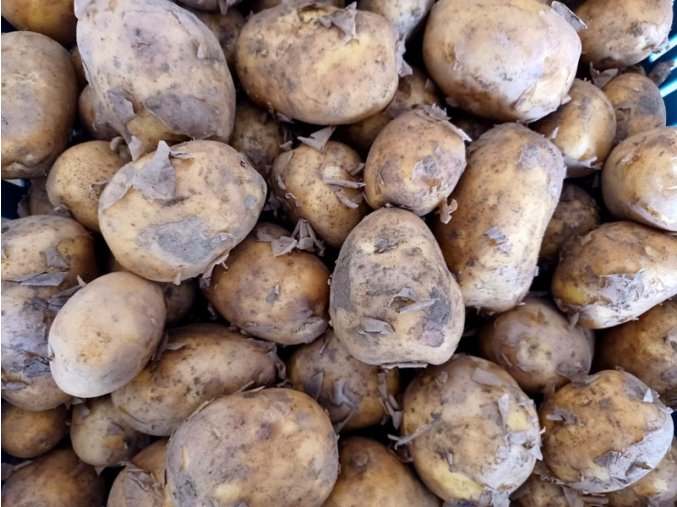Bio brambory  1 kg
