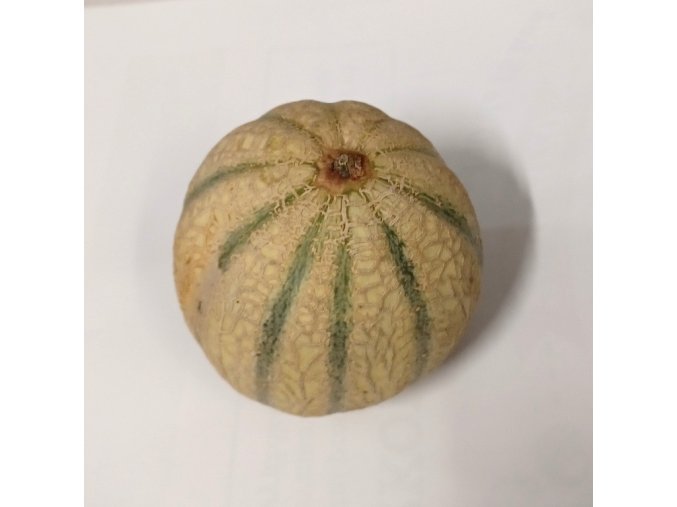 Bio meloun cukrový Cantaloupe 1 ks (cca 650 g)