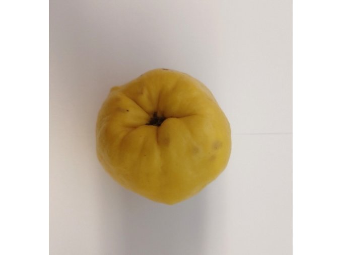 Bio kdoule 1 ks  cca 380 g