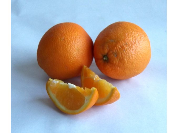 BIO pomeranče Valencie